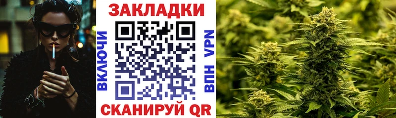 Виды наркотиков купить Злынка МАРИХУАНА  АМФ  ГАШ  APVP 